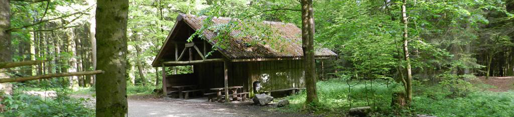 burgergemeinde-wynau_forst_headerbild_apothekerhuette.jpg