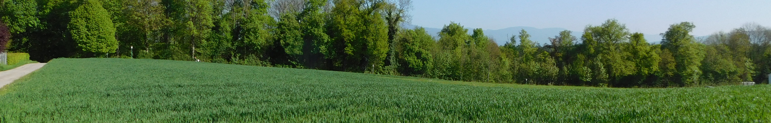 burgergemeinde-wynau_burgergut_headerbild_2.jpg