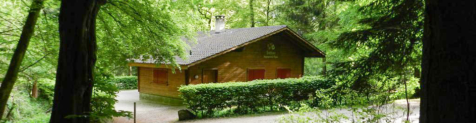 burgergemeinde-wynau_forst_headerbild_forsthaus.jpg